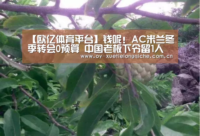 【欧亿体育平台】钱呢！AC米兰冬季转会0预算 中国老板下令留1人