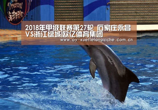 2018年甲级联赛第27轮 石家庄永昌VS浙江绿城|欧亿体育集团(图2) 欧亿体育官网
