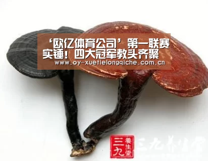 ‘欧亿体育公司’第一联赛实锤!四大冠军教头齐聚英超,八座欧冠被他们收入囊中(图2) 欧亿体育集团