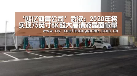 ‘欧亿体育公司’武汉:2020年将实现75英寸8K超大高清液晶面板量产(图3) 欧亿体育平台